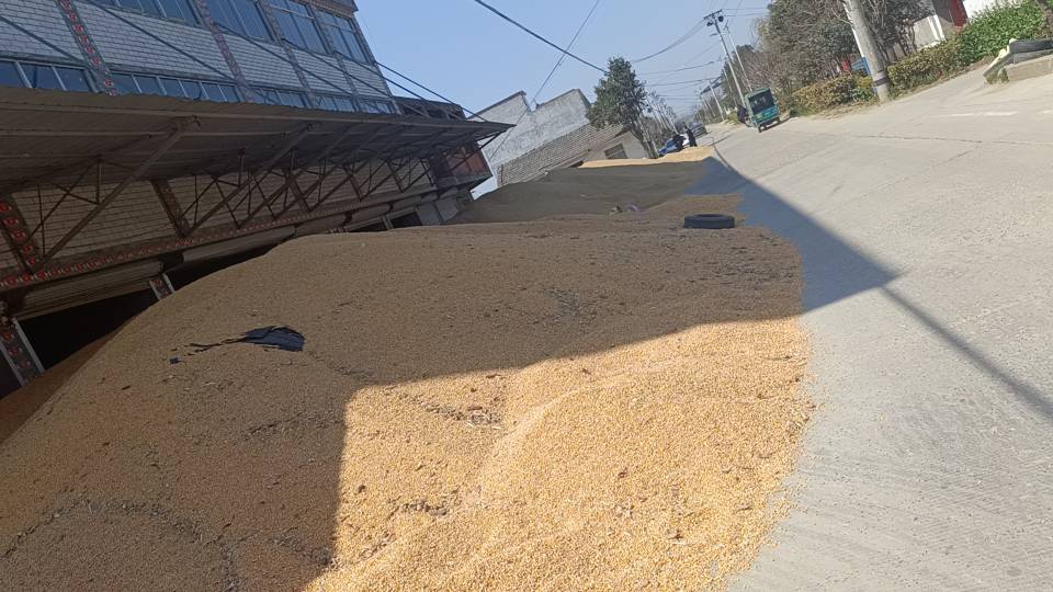 丁芳粮食收购站