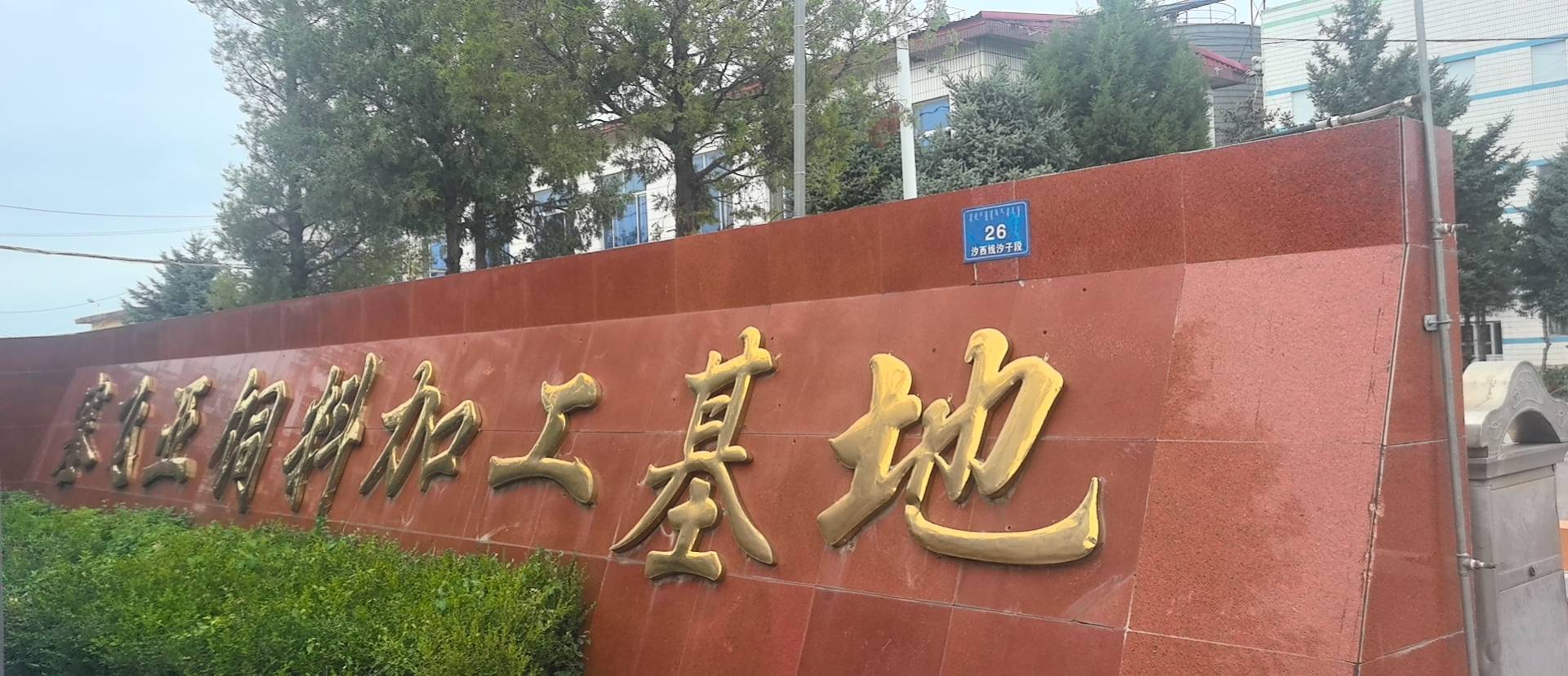 塞飞亚