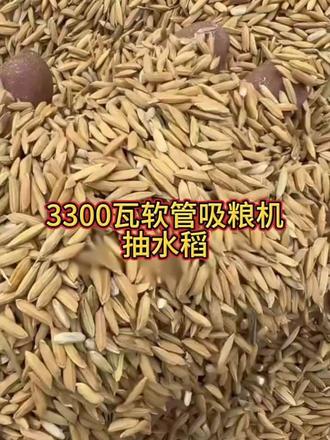 家用吸粮机厂家隆兴机械设备