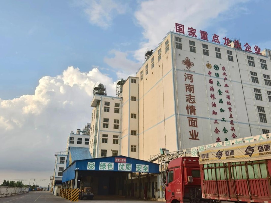 志情面业