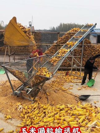 马路收粮机源头工厂